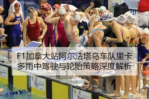 jia-na-da-zhan-a-er-fa-ta-wu-che-dui-li-ka-duo-yu-zhong-jia-shi-yu-lun-tai-ce-lve-shen-du-jie-xi-2-738.jpg